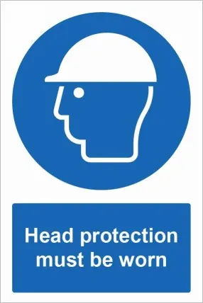 Head Protection must be worn