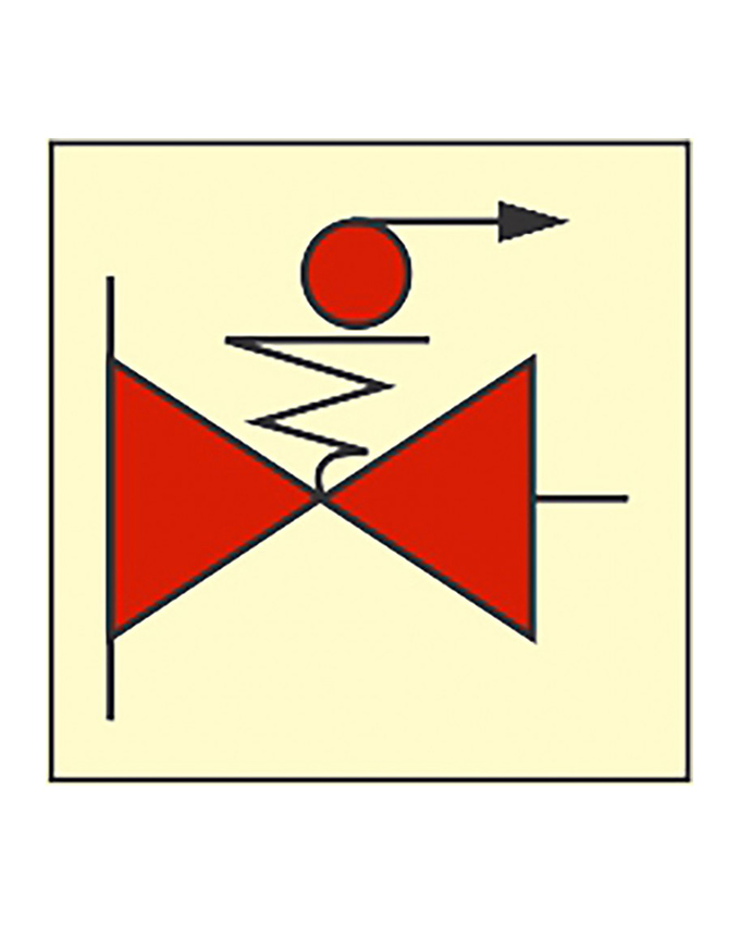 [306065] Remote Control Fuel