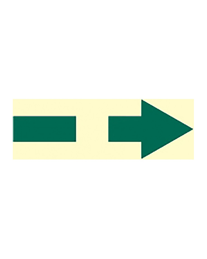 [336071] Secondary Means Of Escape