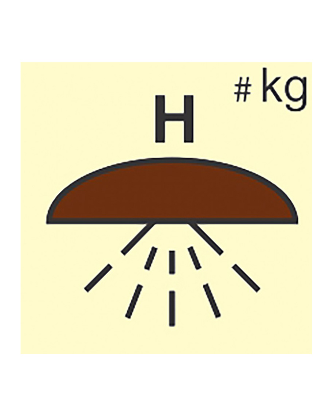 [336860] Space Protected By Halon Fire Extinguishing System